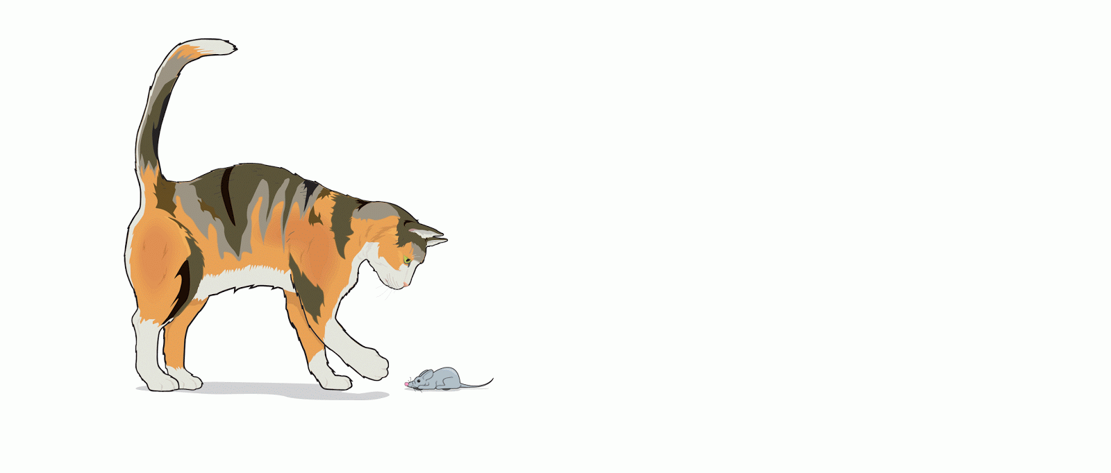 Animasi Kucing Jual Kucing Persia